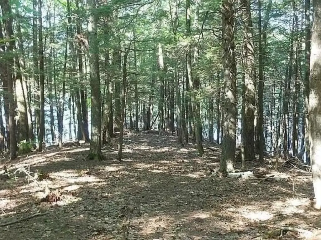 Picture 4