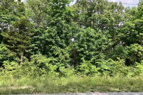 Residential Lot in Hardy, AR