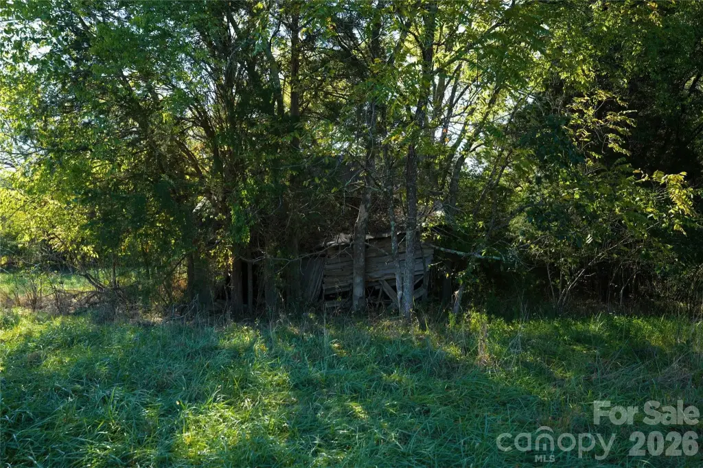 Picture 43