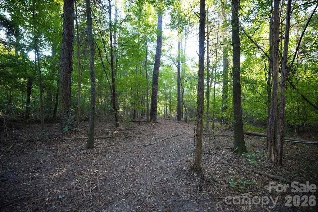 Picture 30