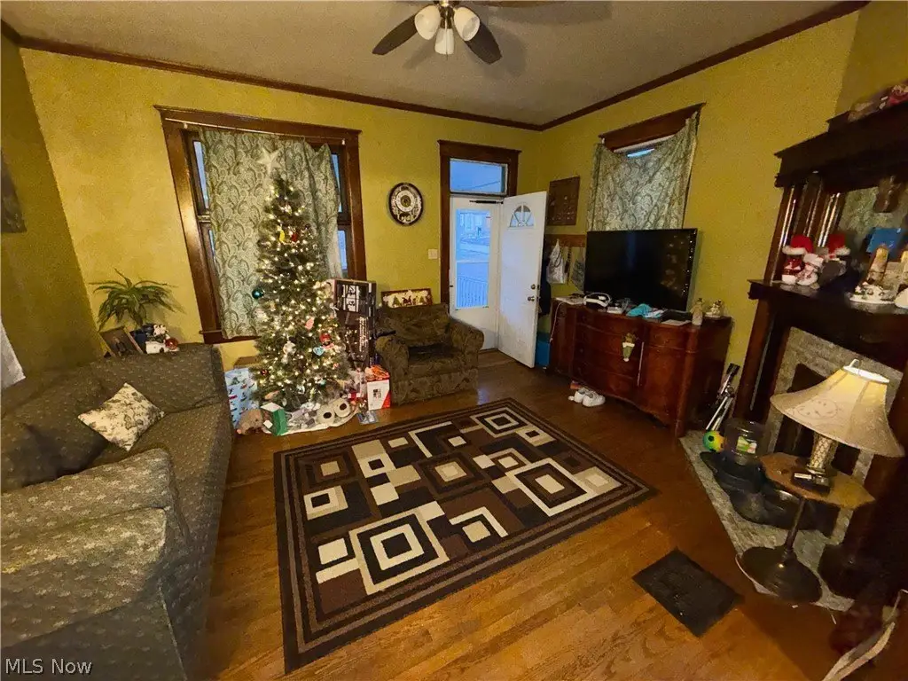 Picture 31