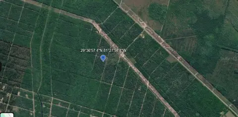 Wooded Recreation Land