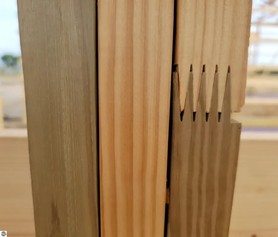 Picture 17