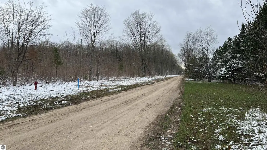 Picture 26