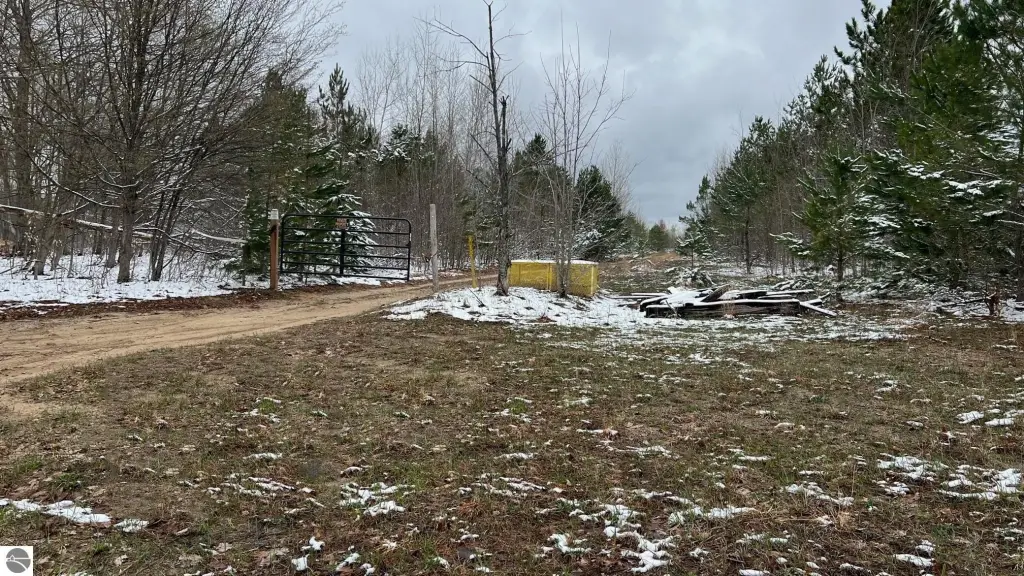 Picture 29