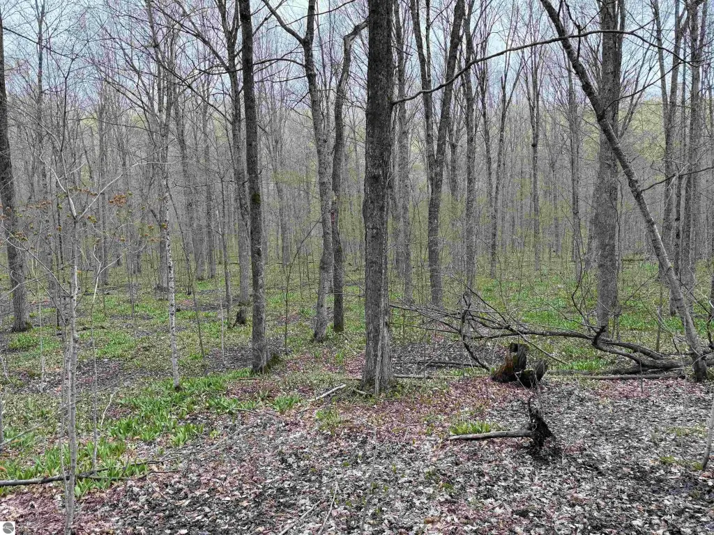 Picture 38