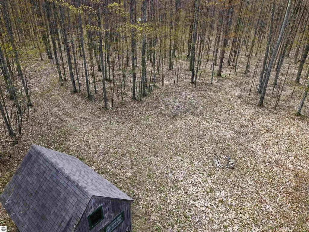 Picture 16