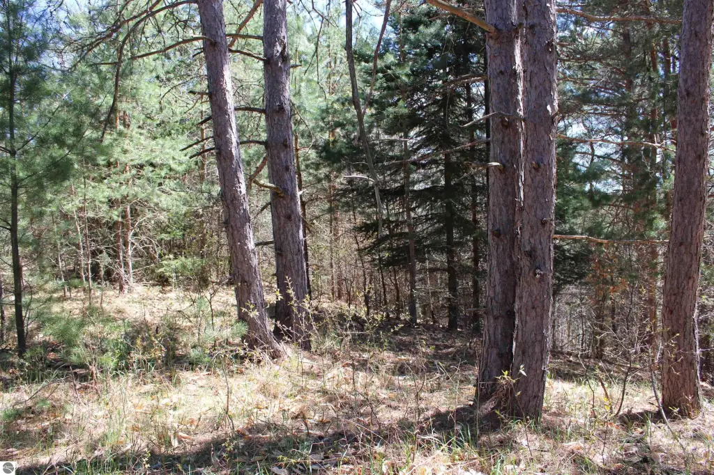 Picture 19