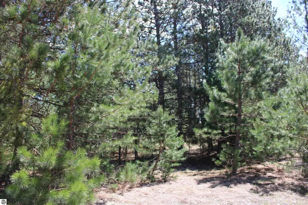 Picture 17