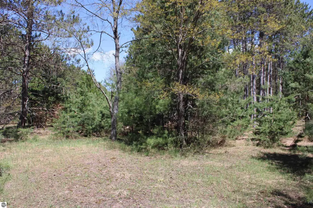 Picture 30