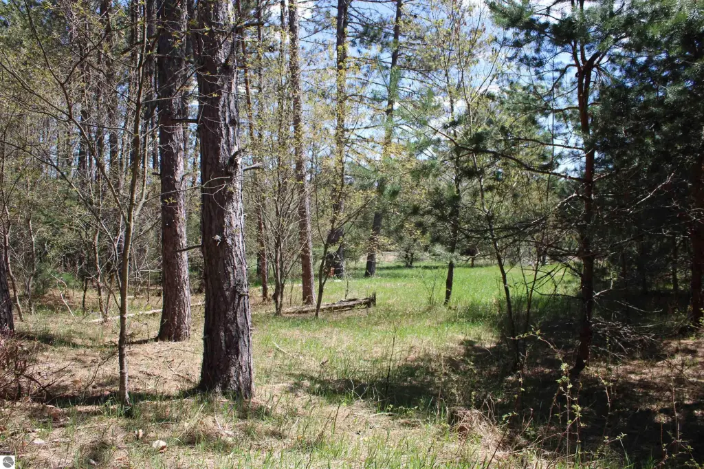 Picture 26