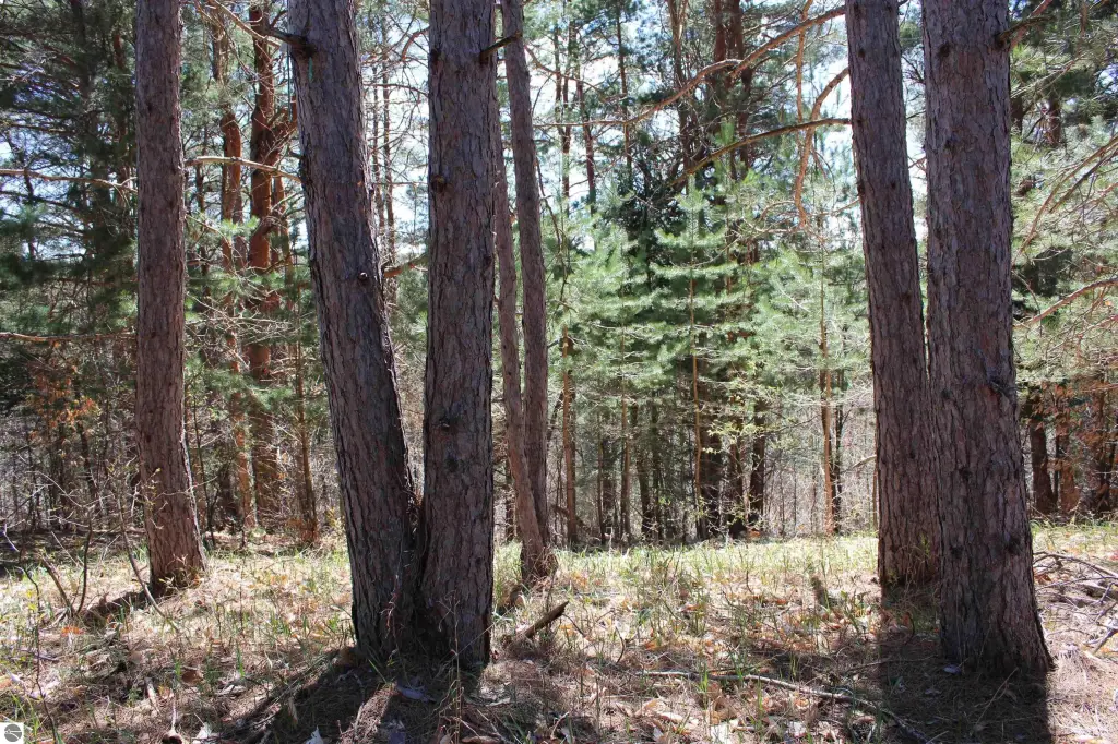 Picture 18
