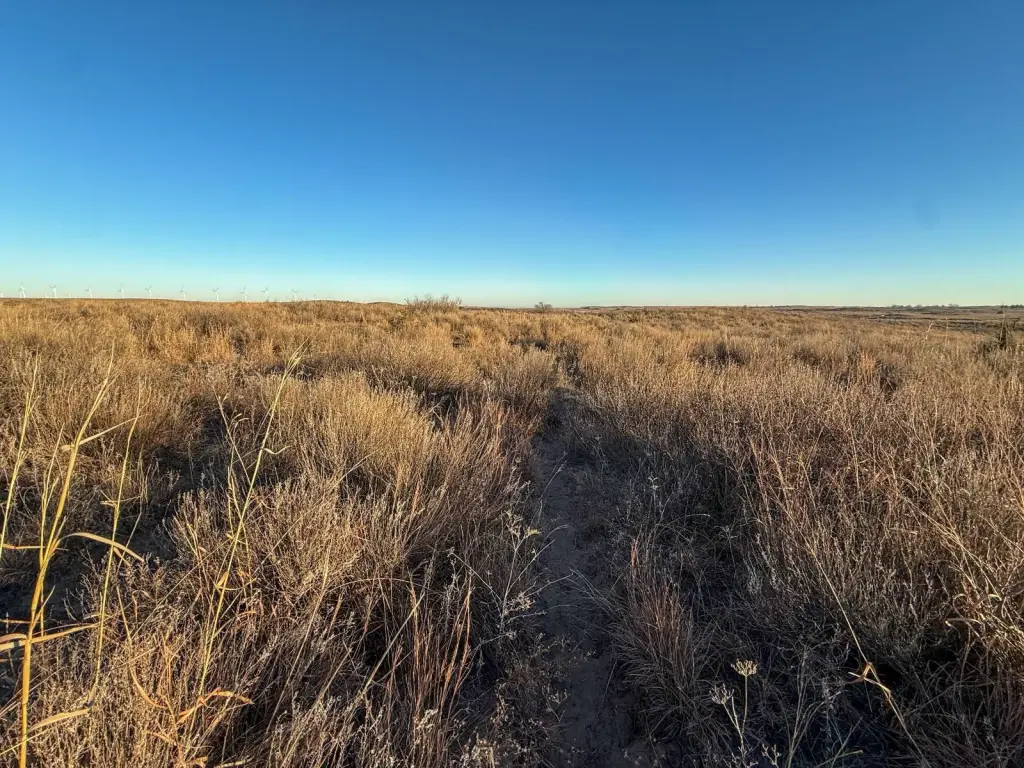 Picture 52