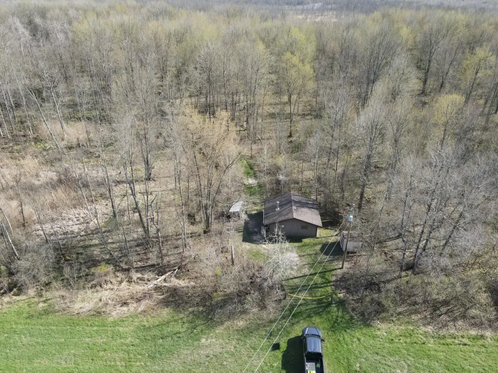 Picture 8