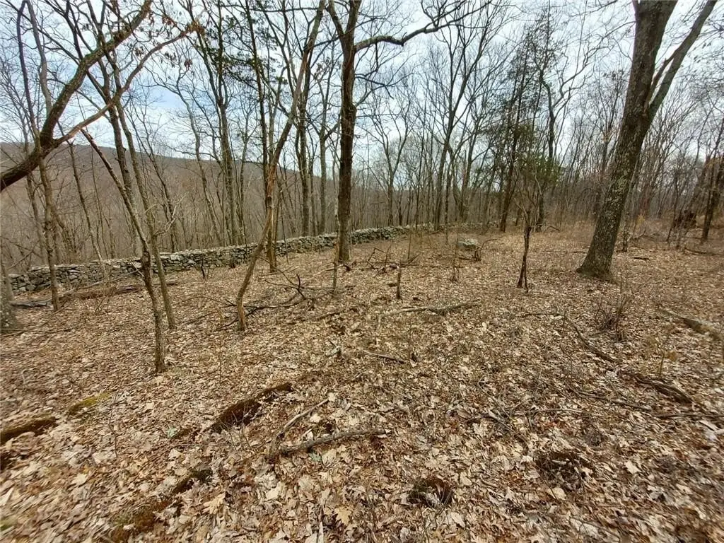 Picture 18
