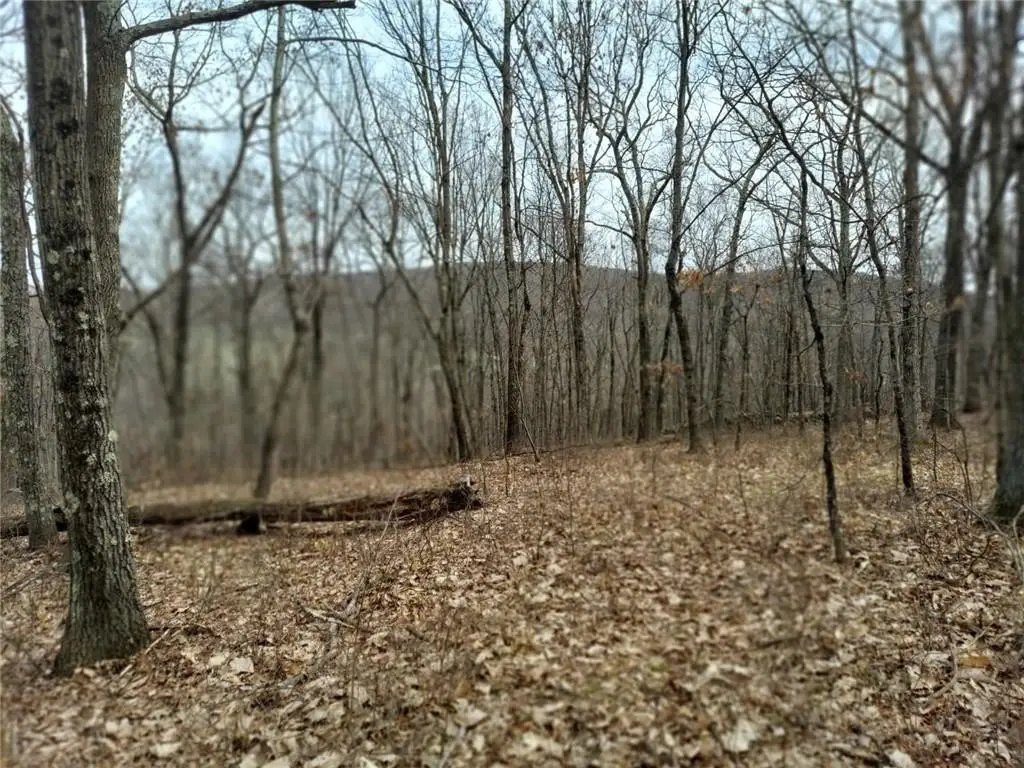Picture 14