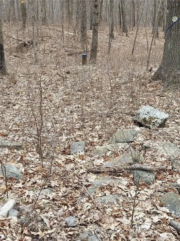 Picture 19