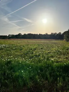 One Acre Lot Near Water