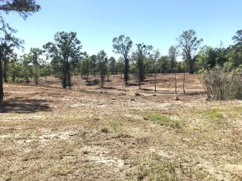 Vacant Land Near Bay Minette