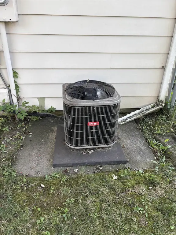Picture 23