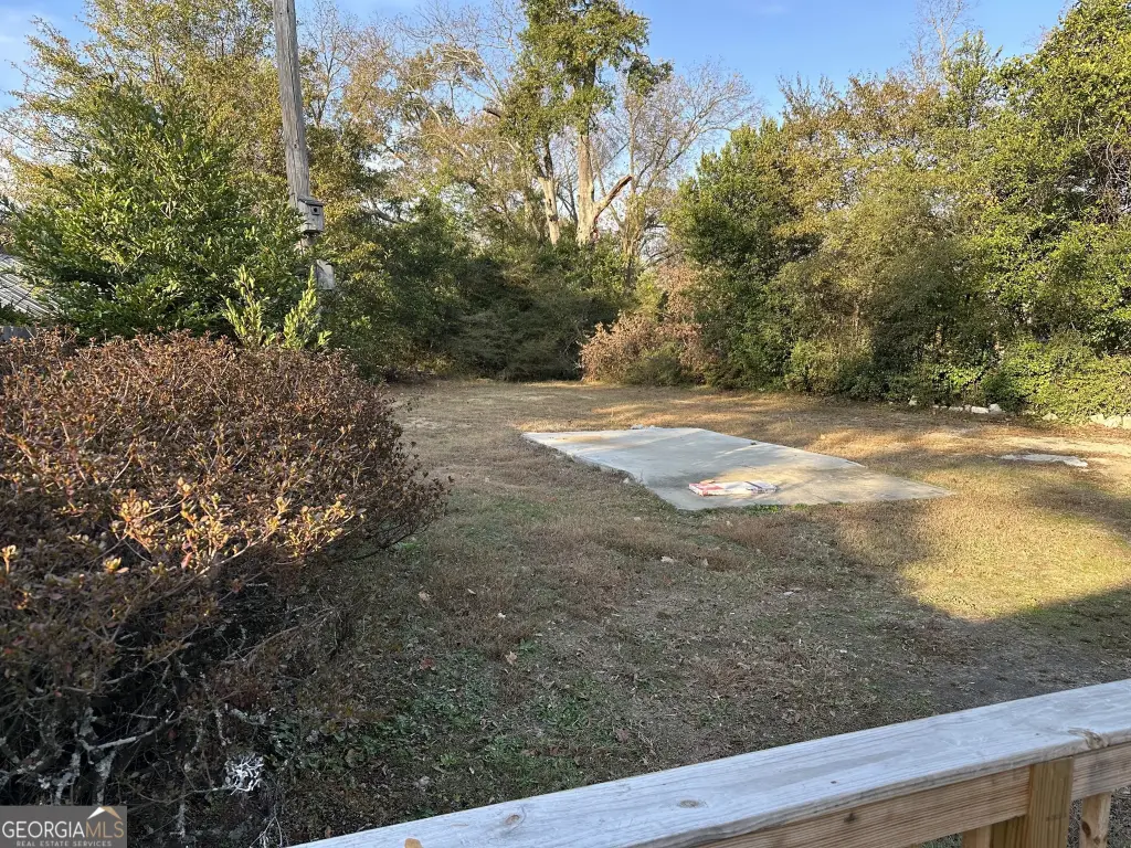 Picture 28