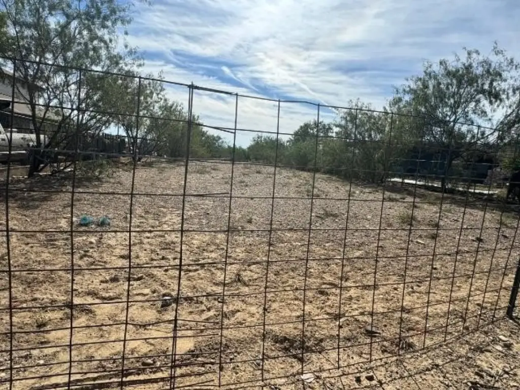 Picture 6
