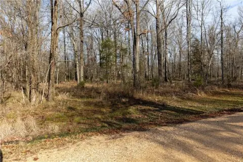Residential Land Near Alabama River