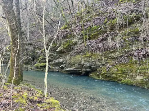 Five Acres Near Lake Ouachita