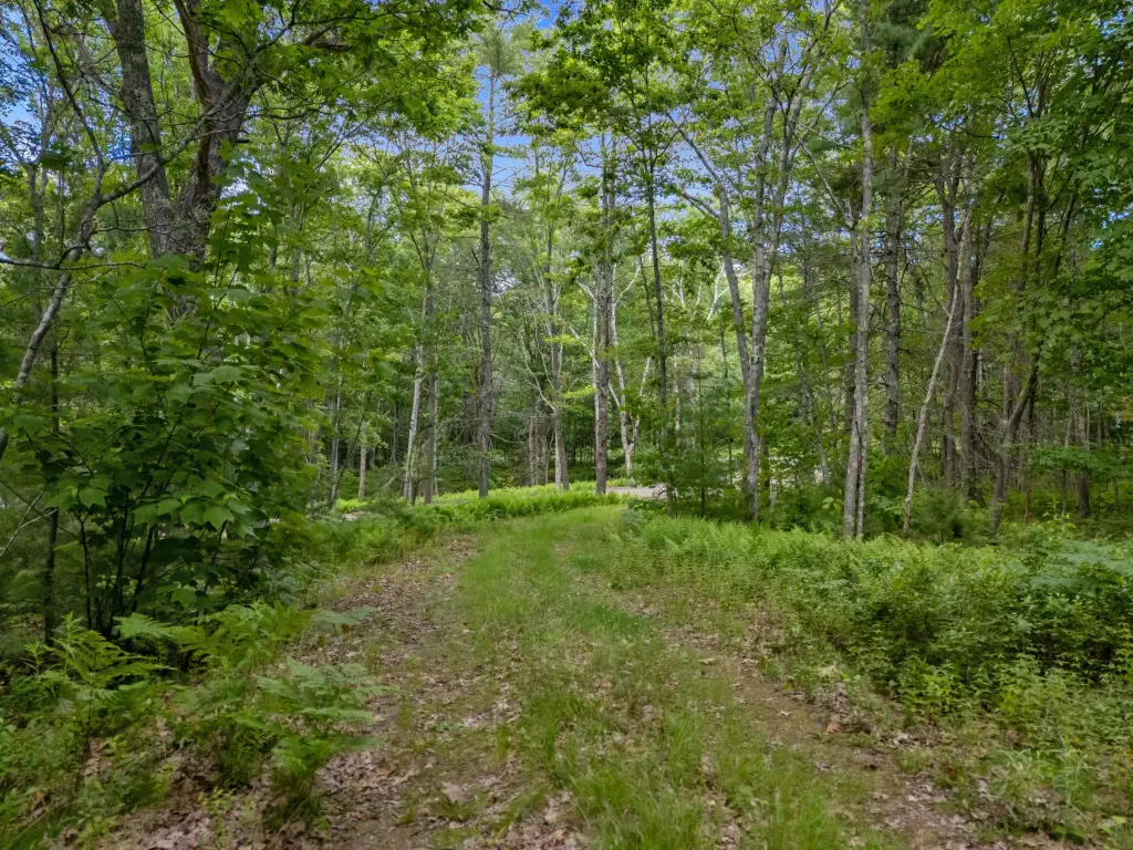 Picture 3