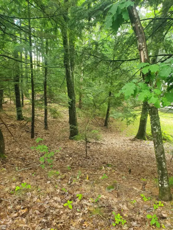 Picture 16