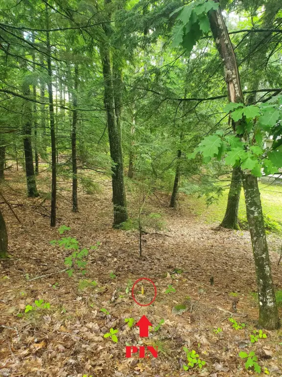 Picture 17