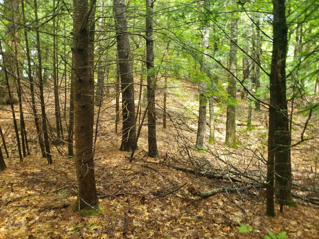 Picture 3