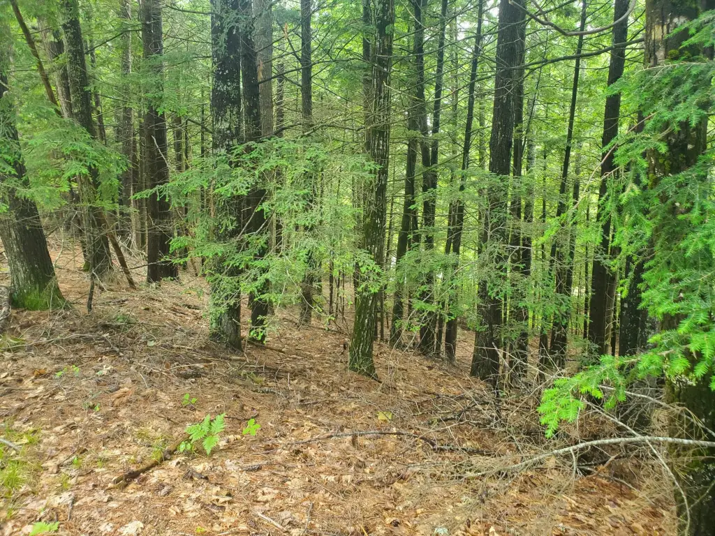 Picture 10