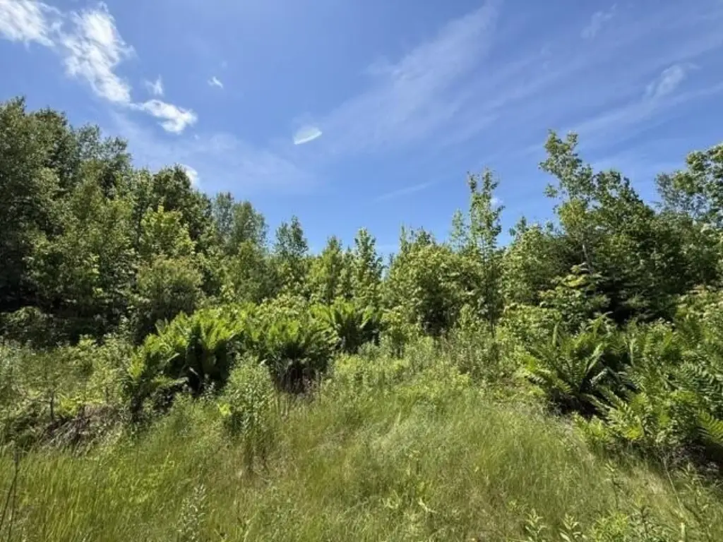 Picture 12
