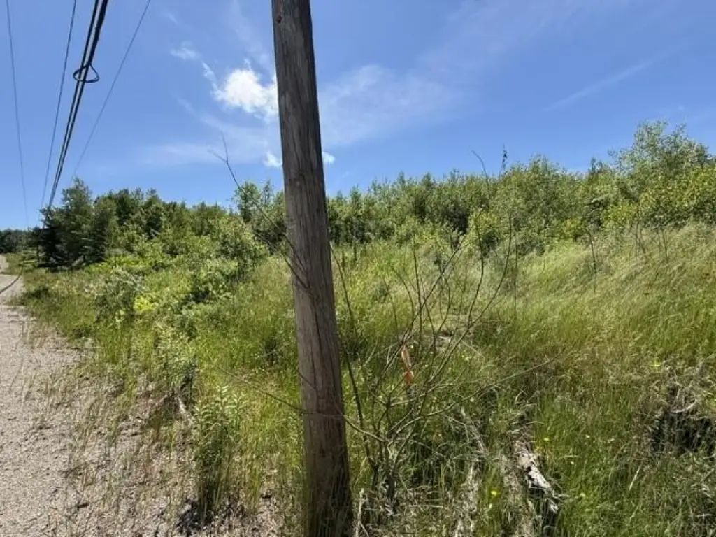 Picture 23