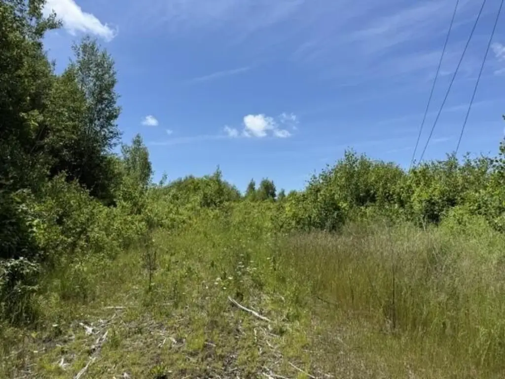 Picture 14