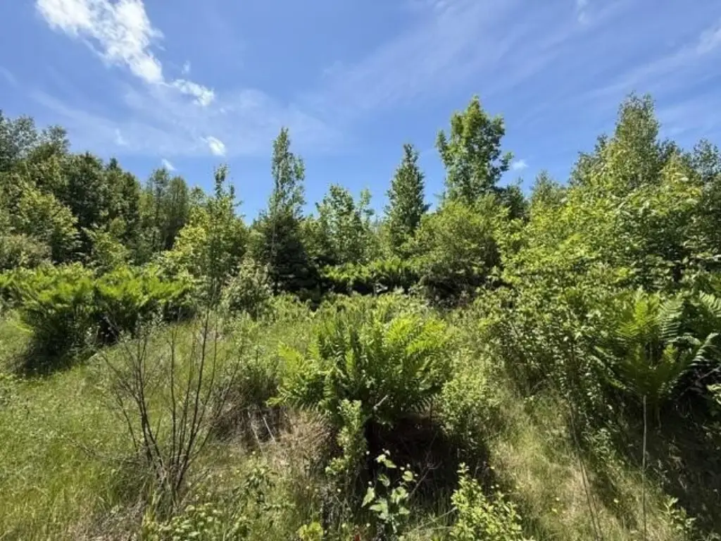 Picture 11
