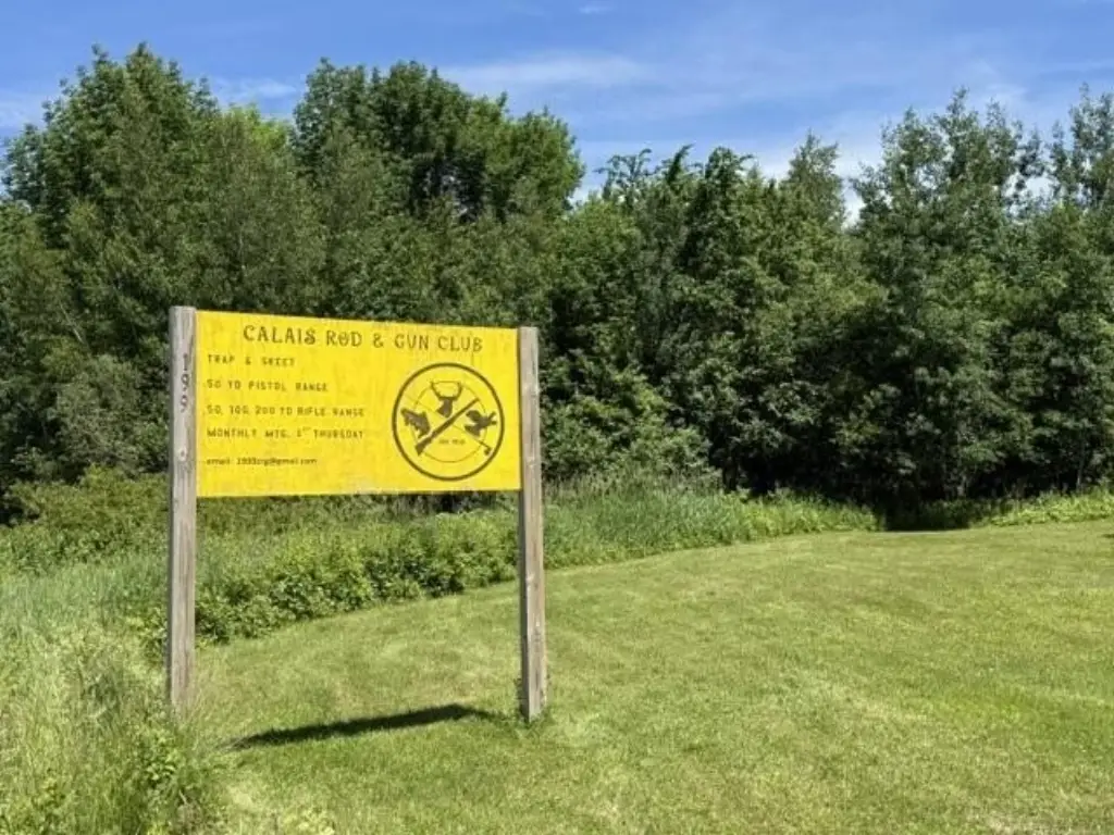 Picture 21