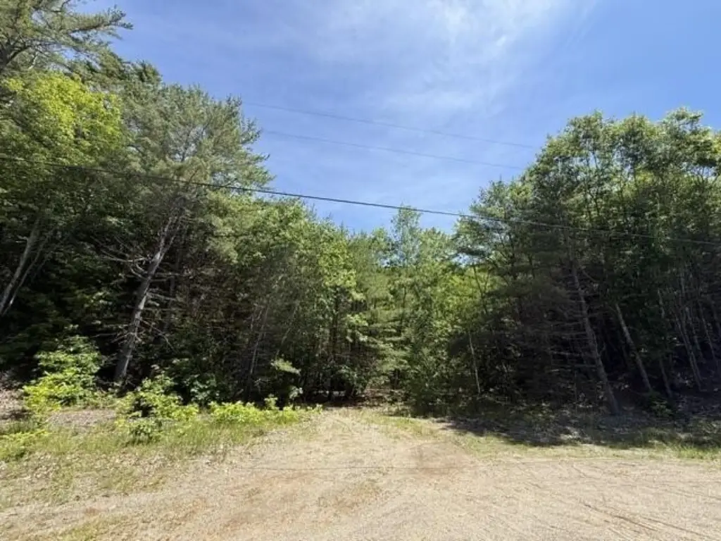 Picture 18