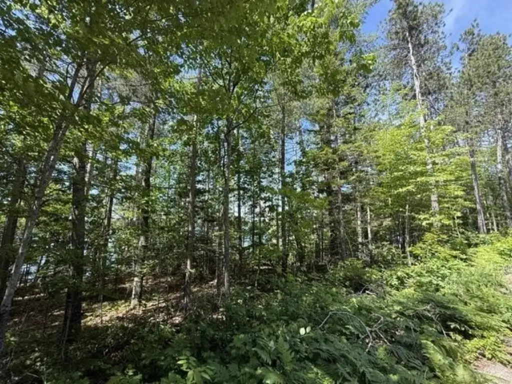 Picture 20