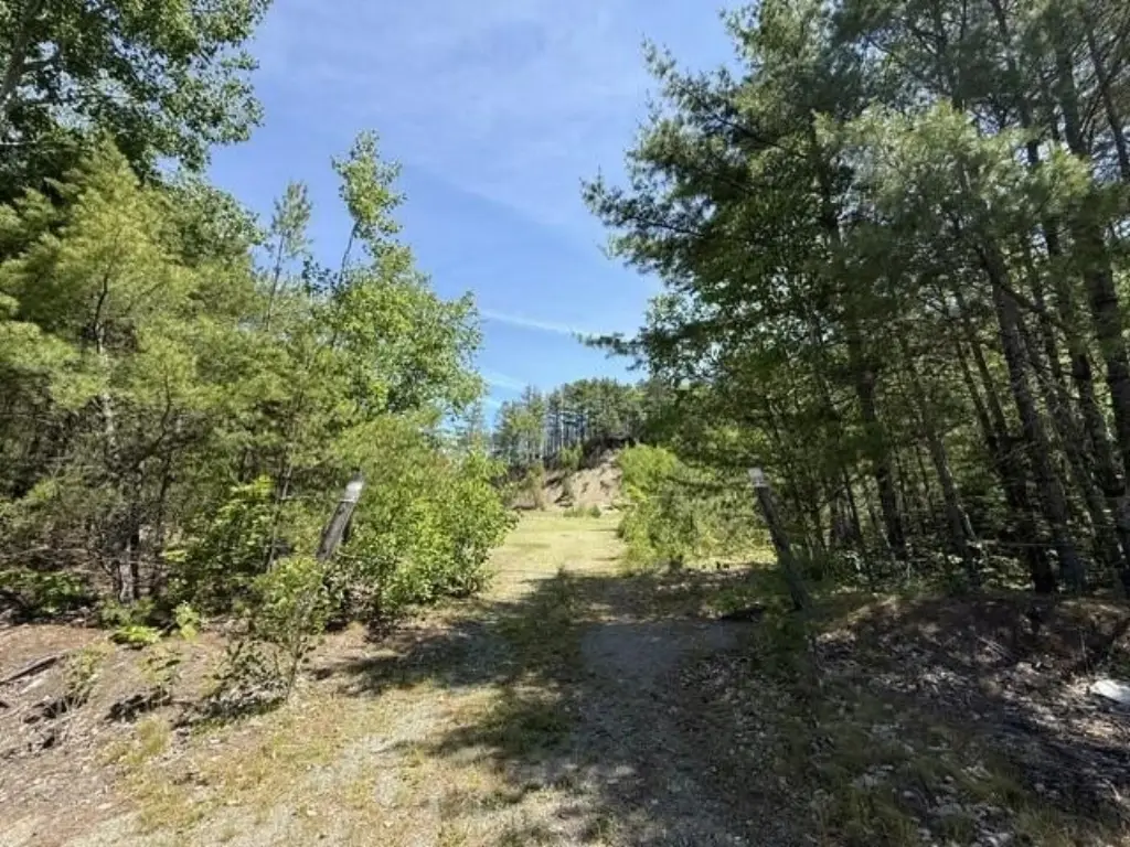 Picture 15