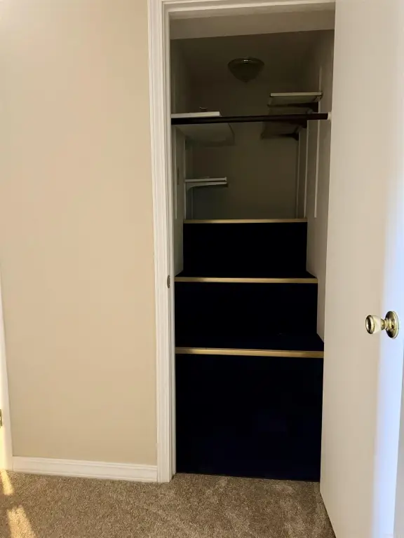 Picture 24
