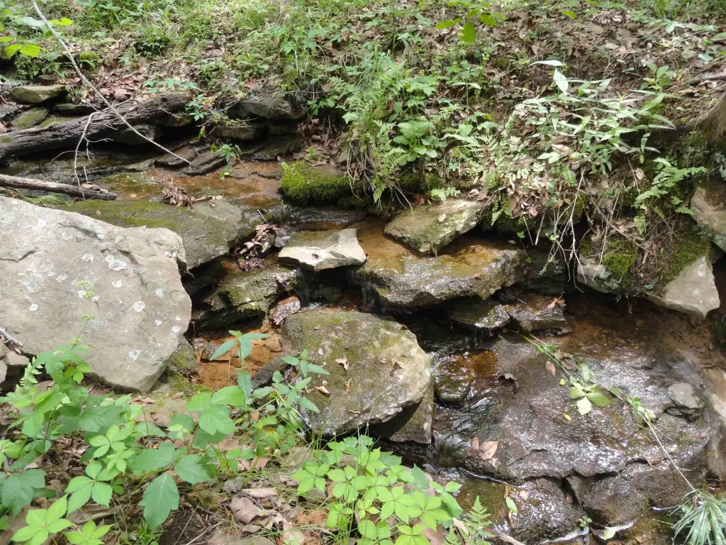 Picture 9