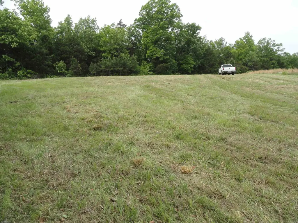 Picture 2