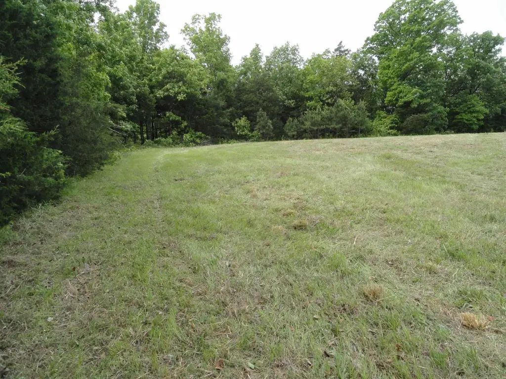 Picture 3
