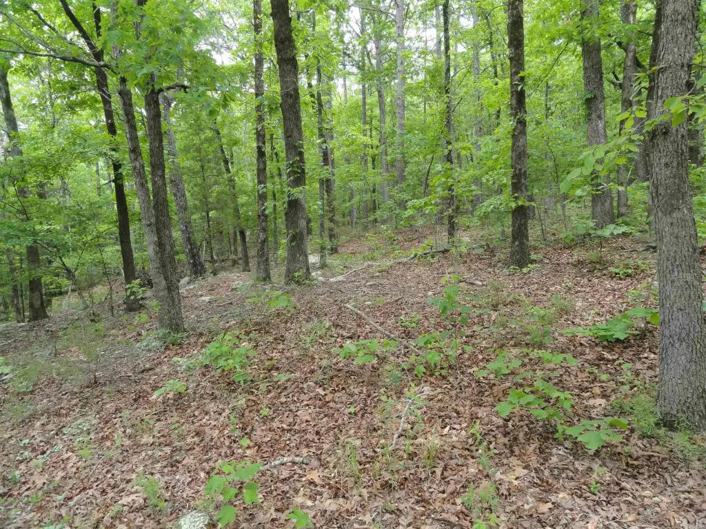 Picture 31