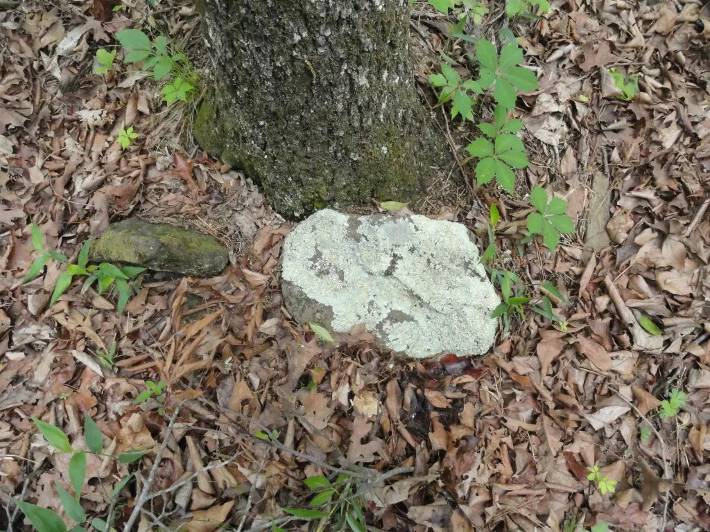 Picture 41