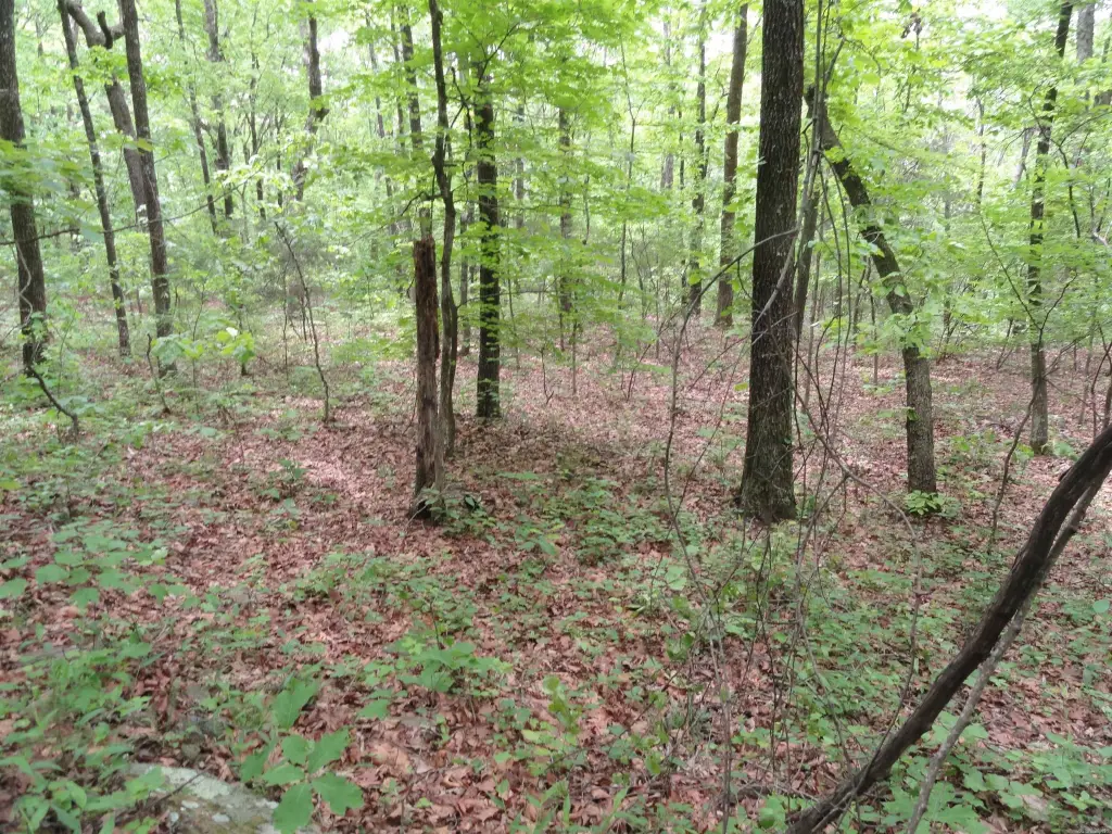 Picture 23