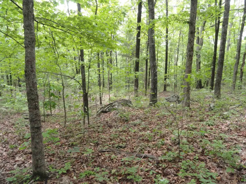 Picture 21