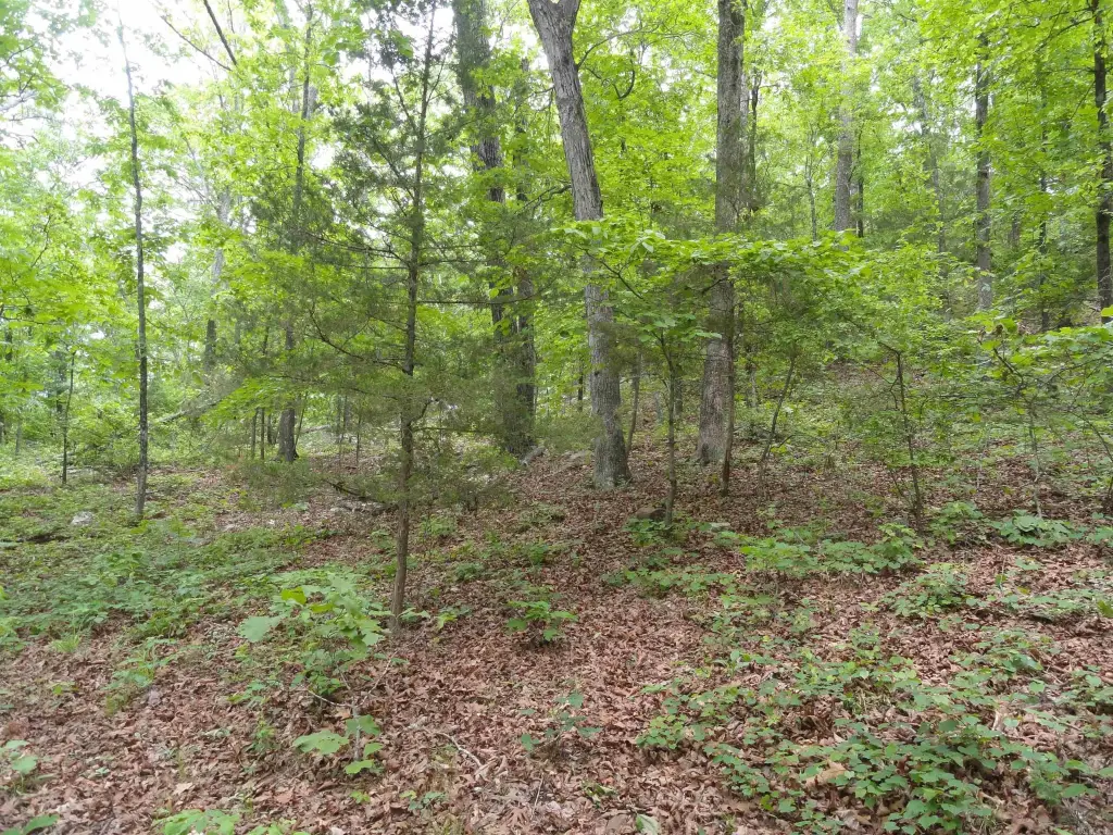 Picture 33